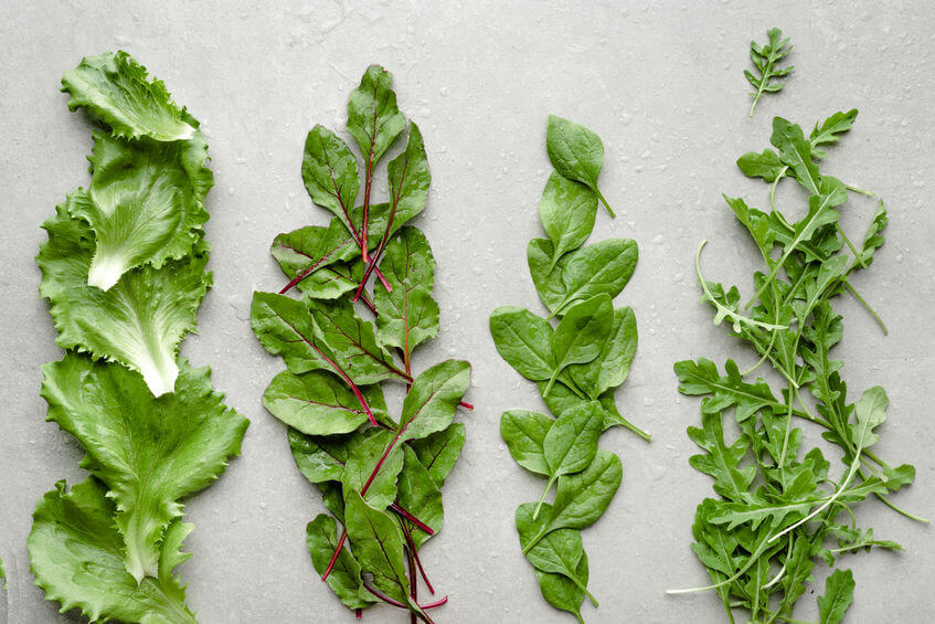 Baby Greens: How to Grow & Eat These Nutritious Salad Greens  AllThatGrows