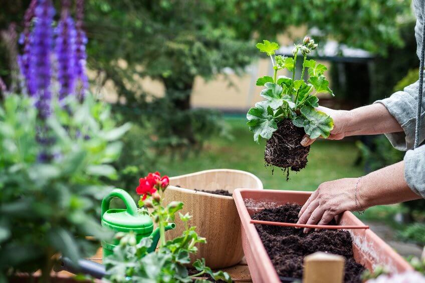 Potting shop