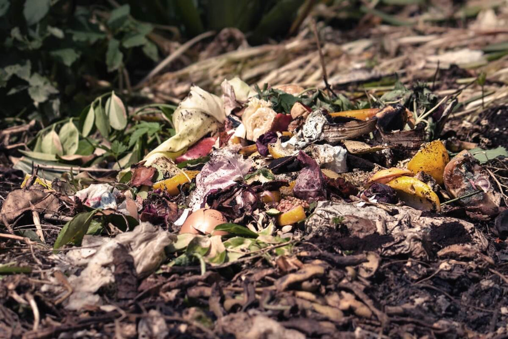 How to Start Your Own Compost Pile at Home