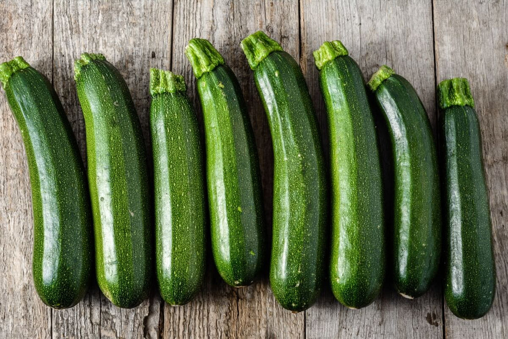 Growing Zucchini from Seeds: Your Ultimate Guide for a Summer Harvest
