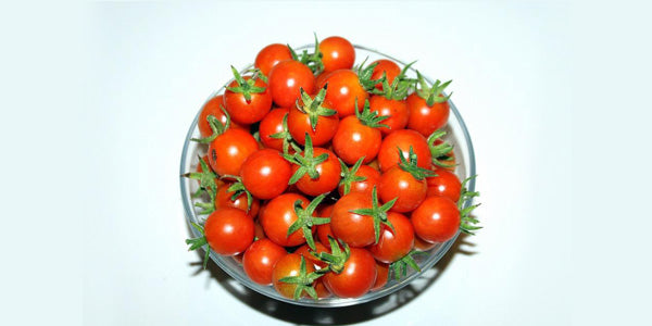 AllThatGrows