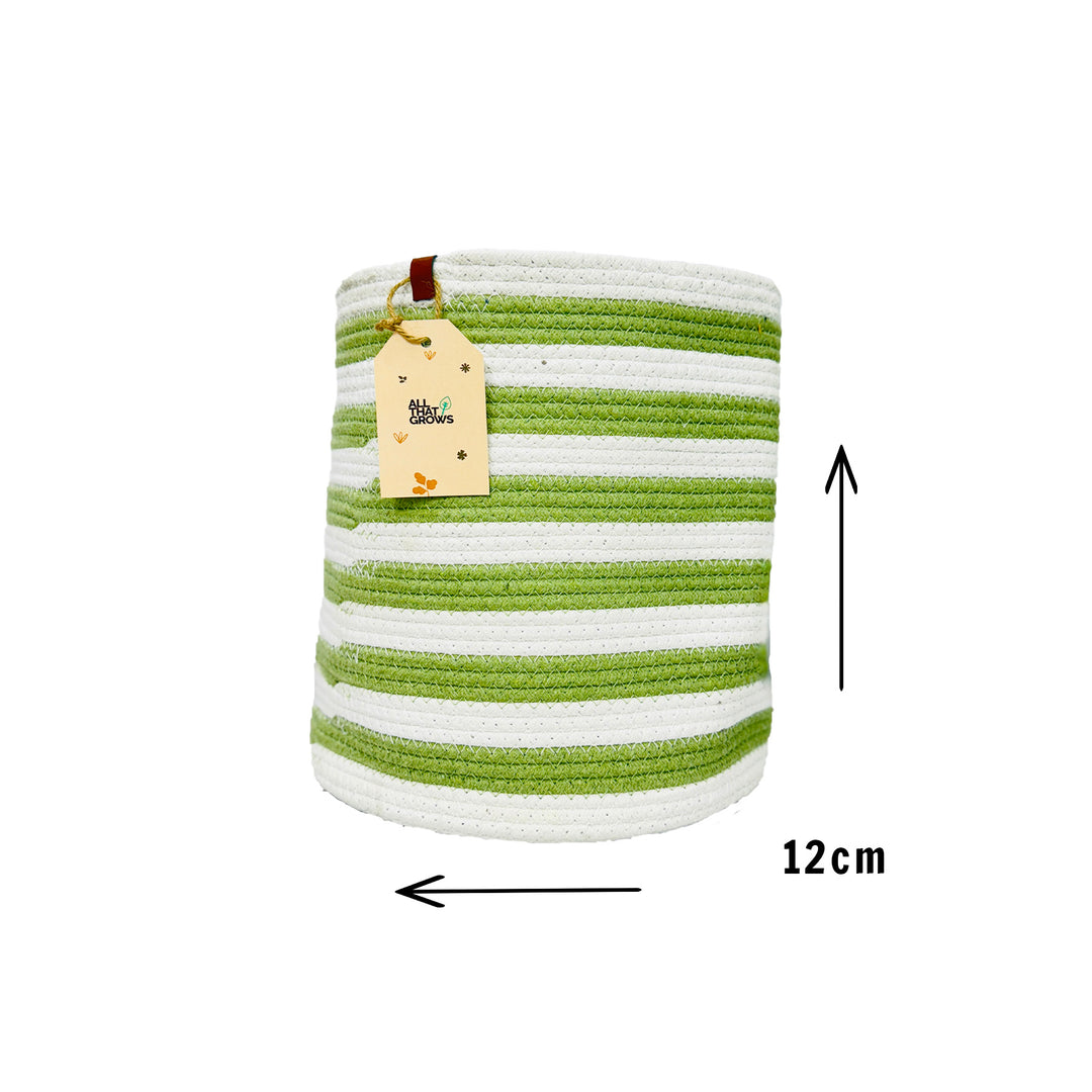 Merrybuds Meadow Planter Baskets – Refreshing White & Green Set