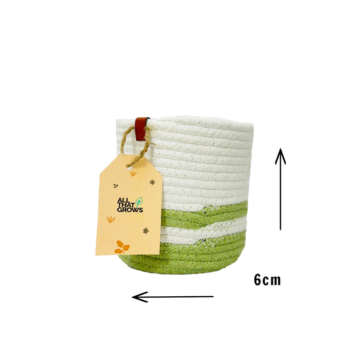 Merrybuds Meadow Planter Baskets – Refreshing White & Green Set