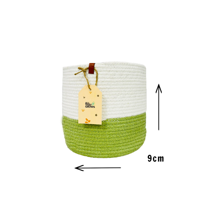 Merrybuds Meadow Planter Baskets – Refreshing White & Green Set