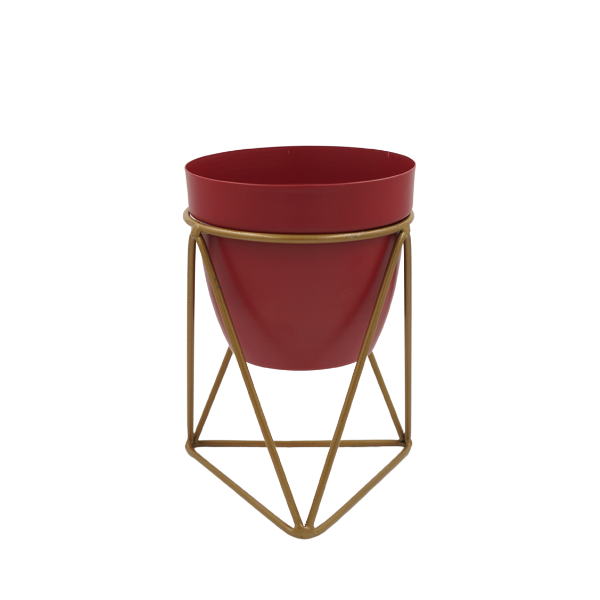 Crimson Goldvine Desk Planter
