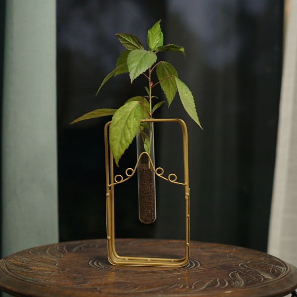 Crystal GoldFlora Vase