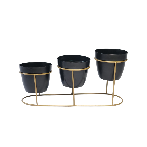 TriOnyx GoldNest Tabletop Trio