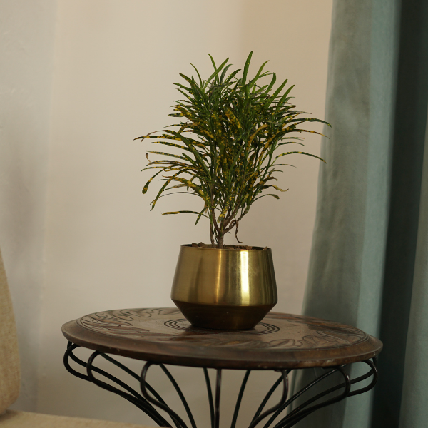 TwinSprout Planter Pair