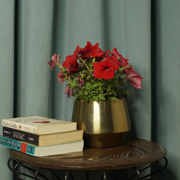 TwinSprout Planter Pair