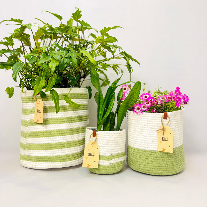 Merrybuds Meadow Planter Baskets – Refreshing White & Green Set