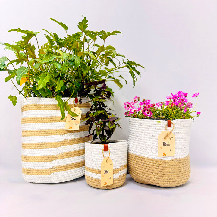 Merrybuds Serenity Planter Baskets – Chic White & Beige Set