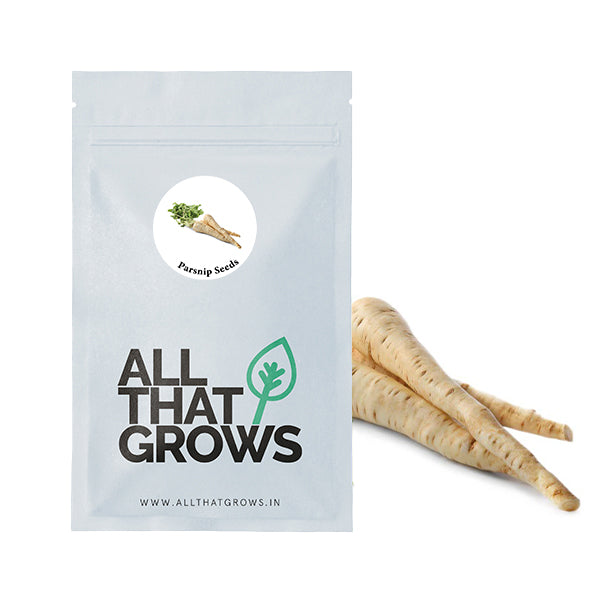 Parsnip Seeds
