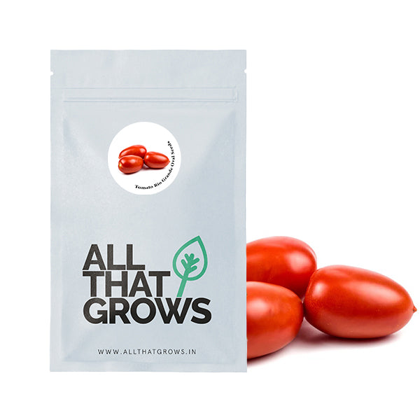 Tomato Rio Grande Oval Seeds