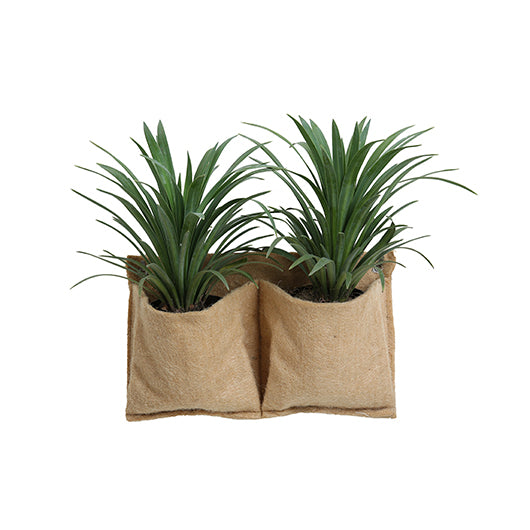 Peachbush - 2 Pocket Jute Wall Planters (Horizontal)