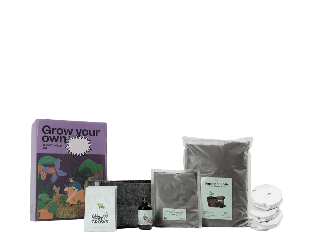Marjoram Growing Kit
