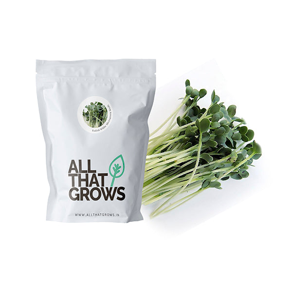 Radish White Microgreen Seeds