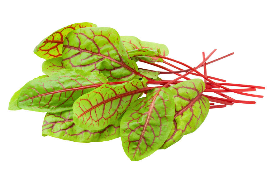 Red Veined Sorrel Herb Seeds - Heirloom, Non-GMO, Perennial, Edible & Fast Growing