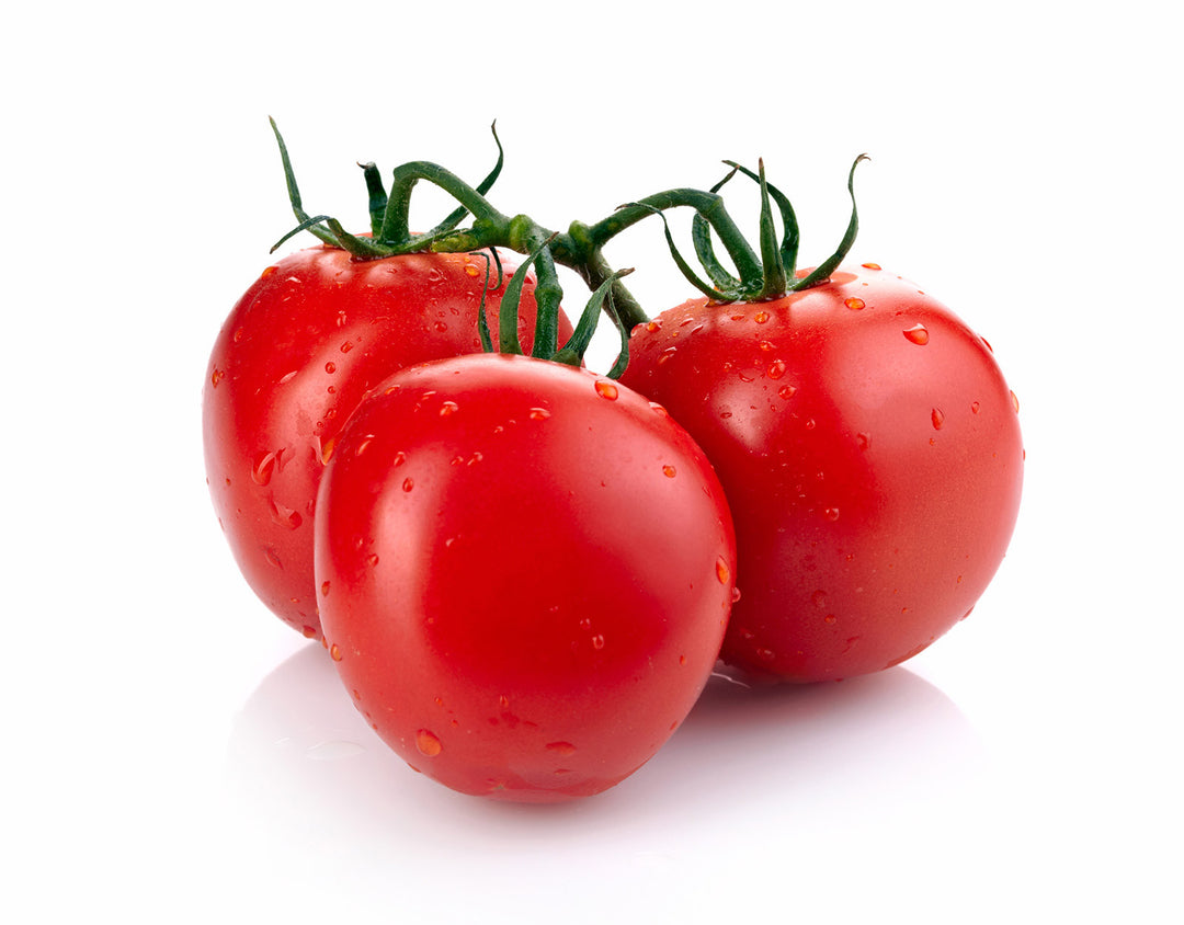 Tomato Oval