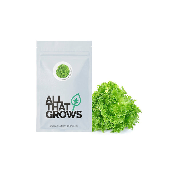 Lettuce Grand Rapids Seeds