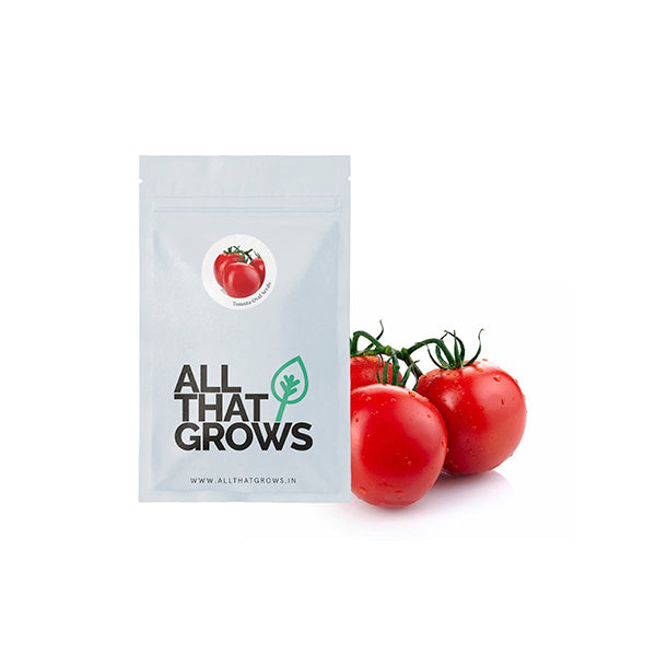 Tomato Oval Seeds