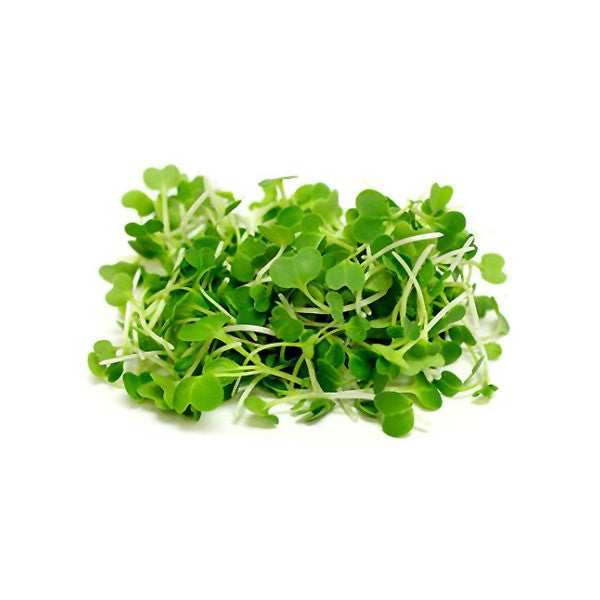 Pak Choi Microgreen Seeds