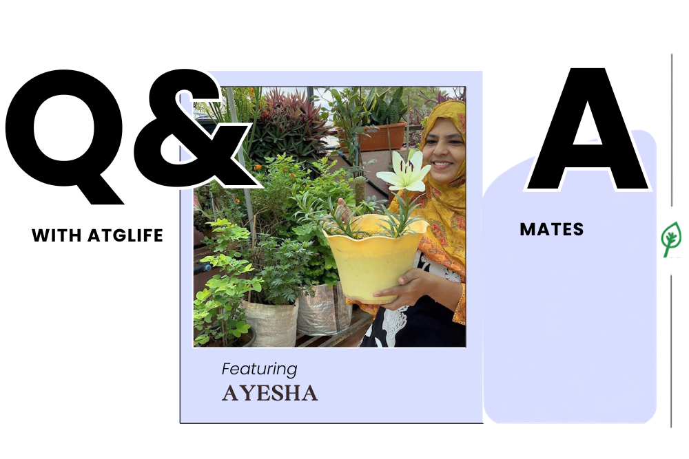 ATGLife Mates: Featuring Ayesha