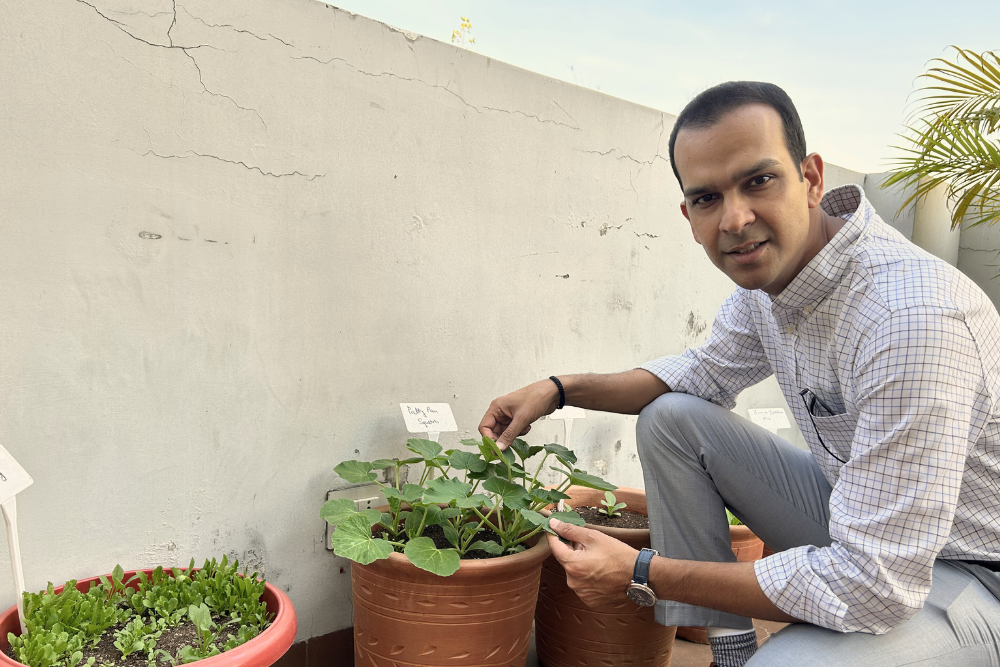 Why I Decided To Grow Vegetables in the Office