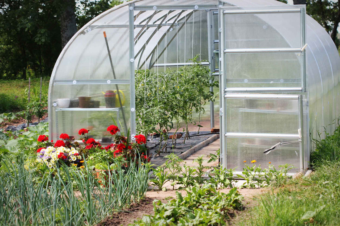 What Is Greenhouse Gardening?