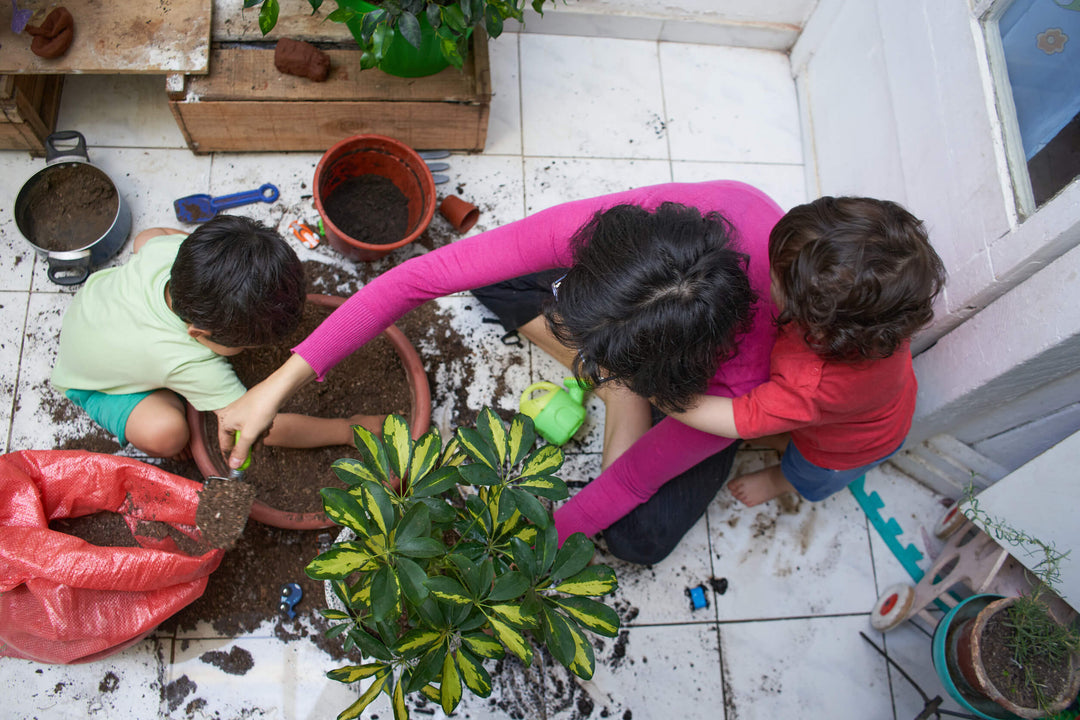 7 Plants You Can Grow With Your Kids