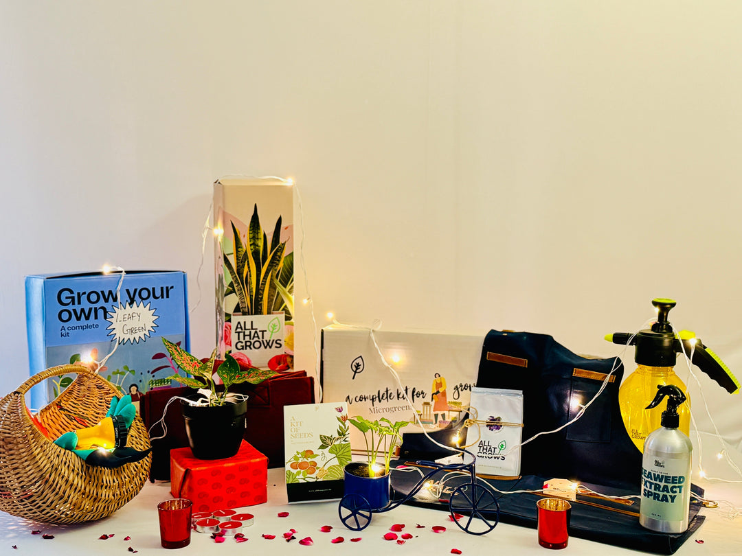 Green Corporate Gifting for Indian Festive Season – by AllThatGrows