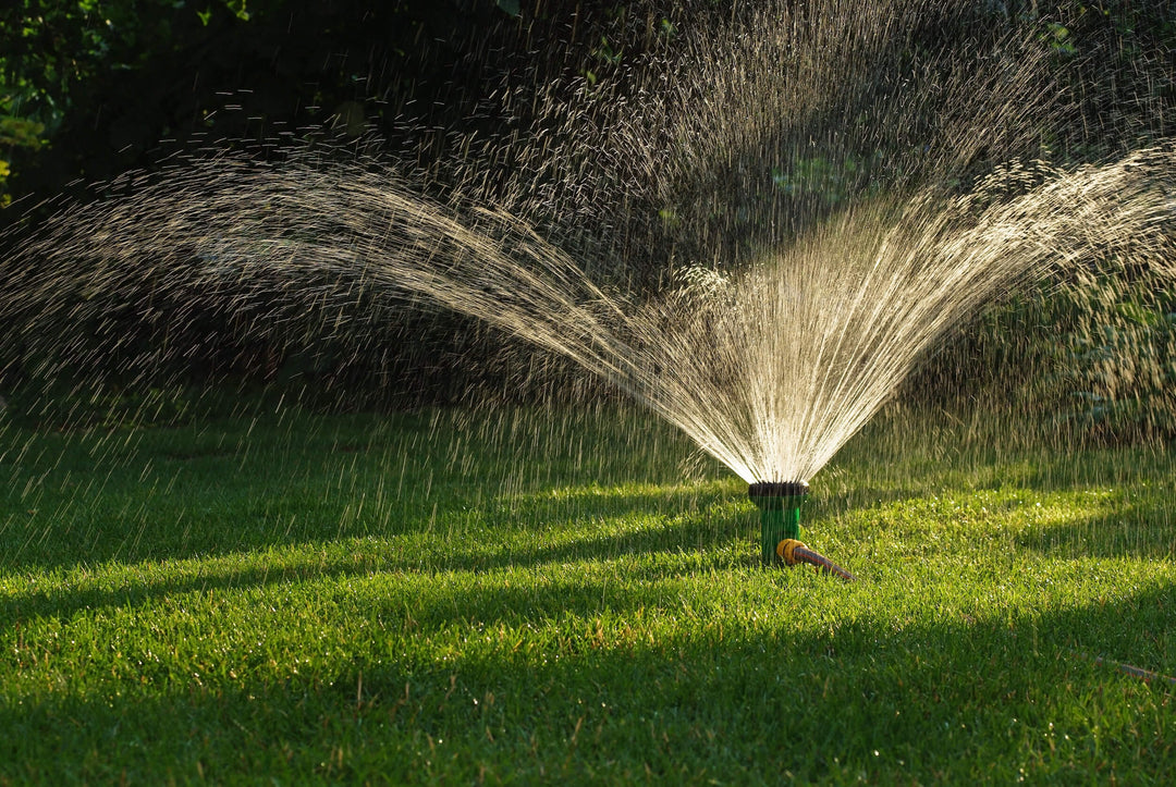 A Simple Lawn Watering Guide for Indian Gardeners