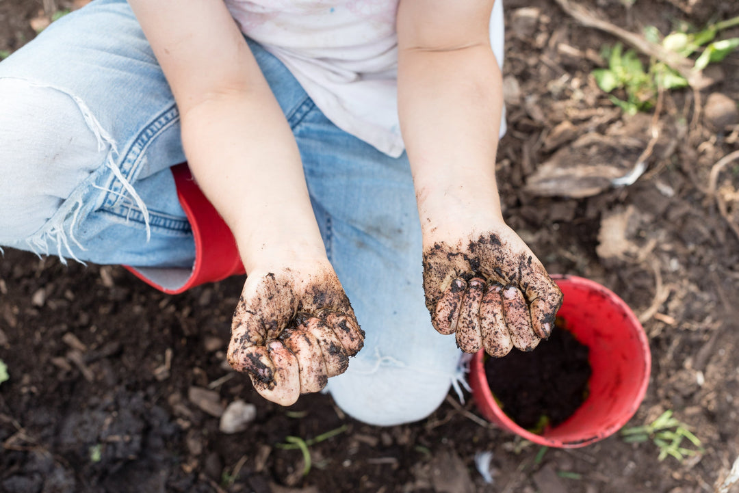 Start Composting at School: A Complete Guide for Educators