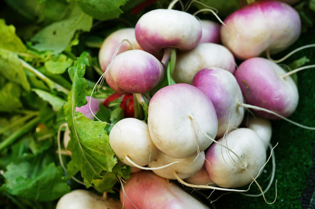 4 Turnip Varieties to Grow at Home This Winter