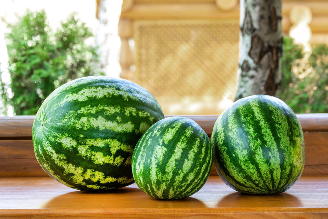 Grow Sweet, Juicy Watermelons at Home This Summer in India
