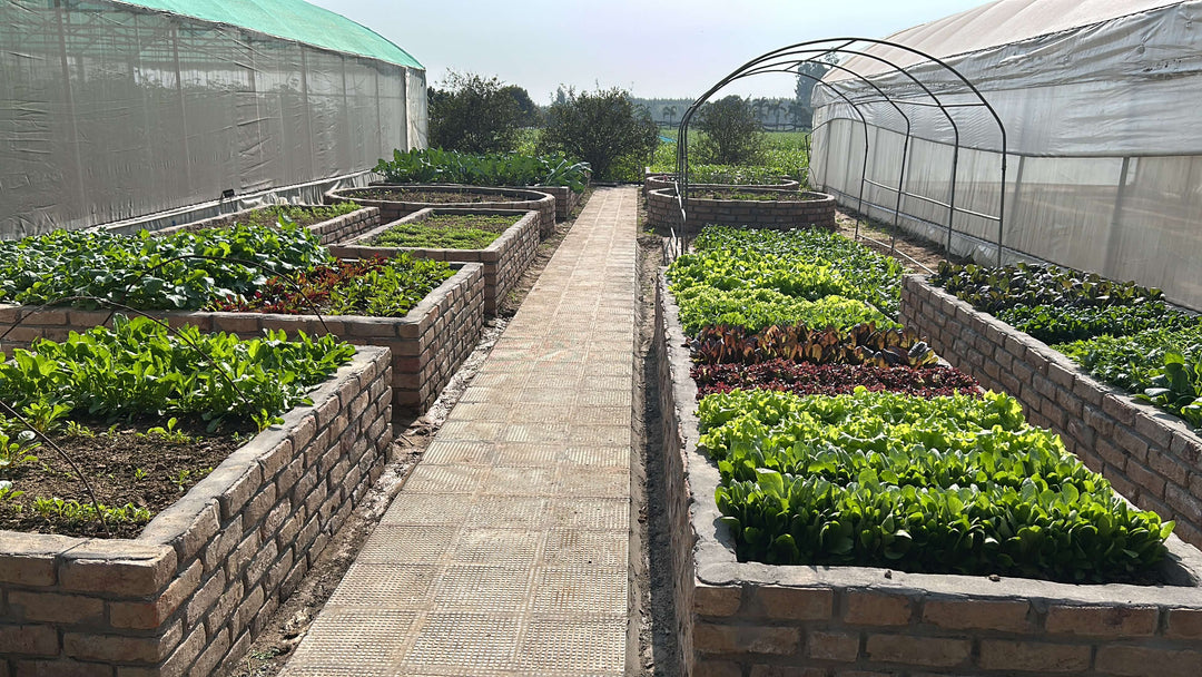 AllThatGrows: Soil & Seasons – A Farm Diary