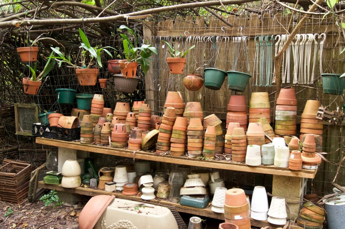 Terracotta vs ceramic pots: a comprehensive plant care guide