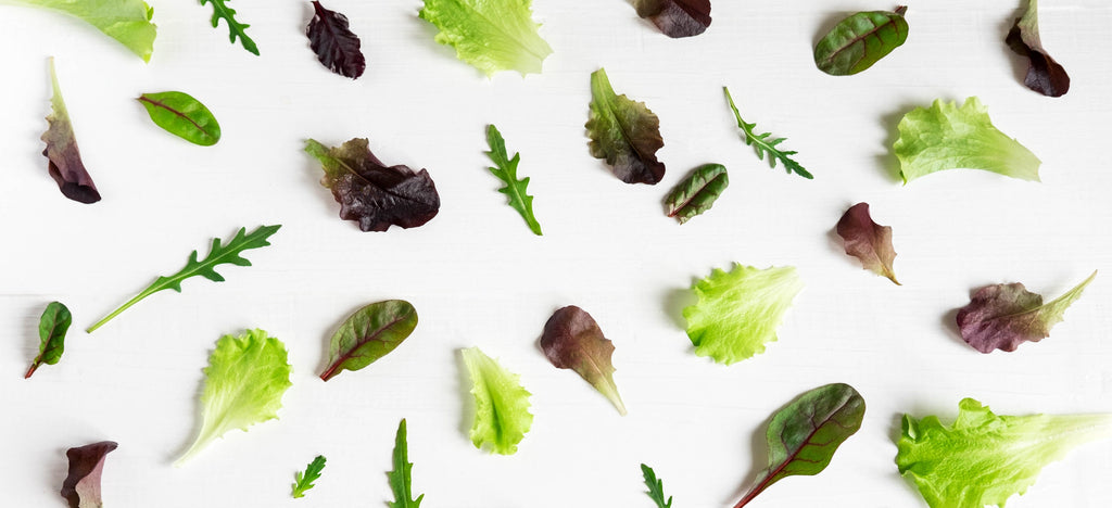 Baby Leaf Seeds