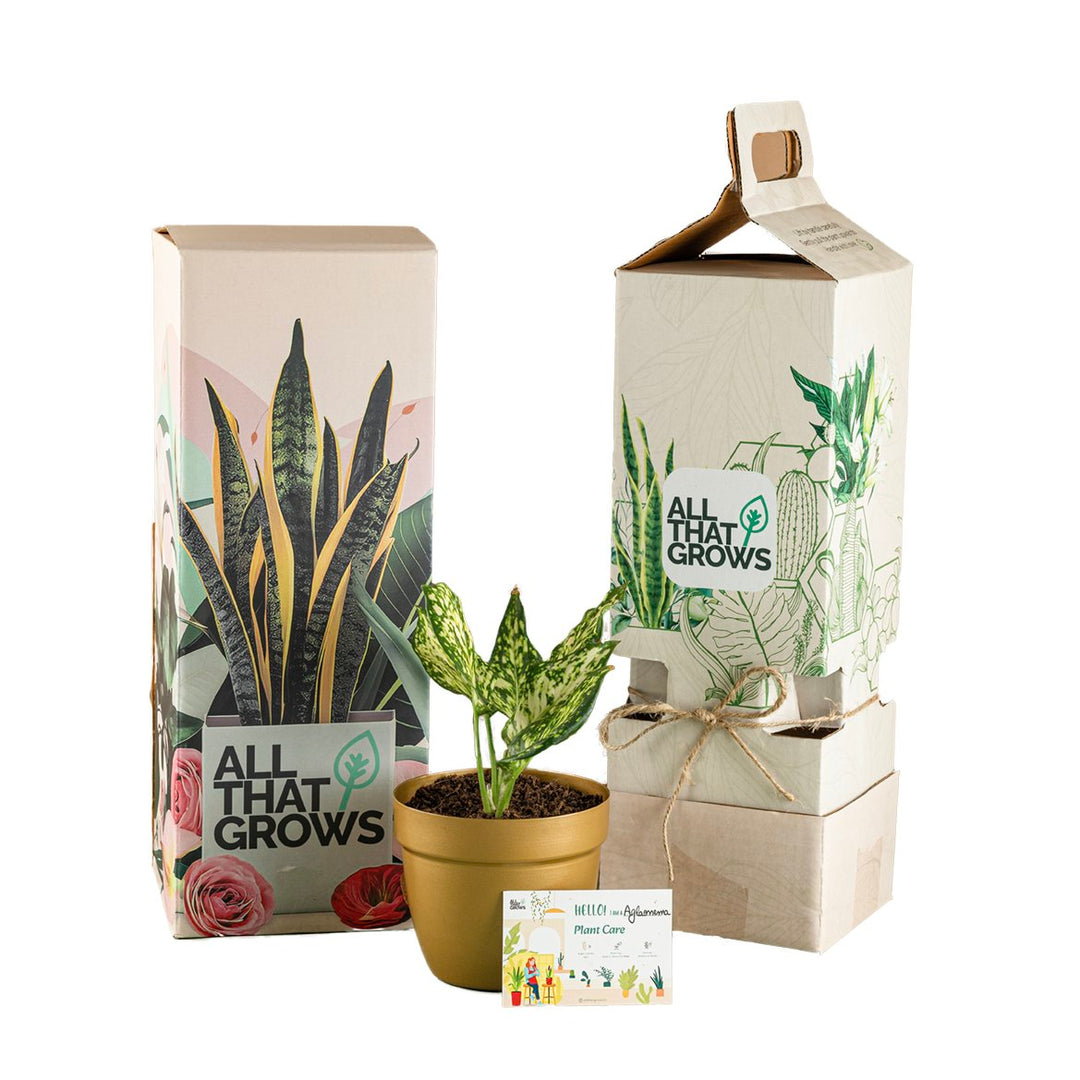 Shop Live Plants