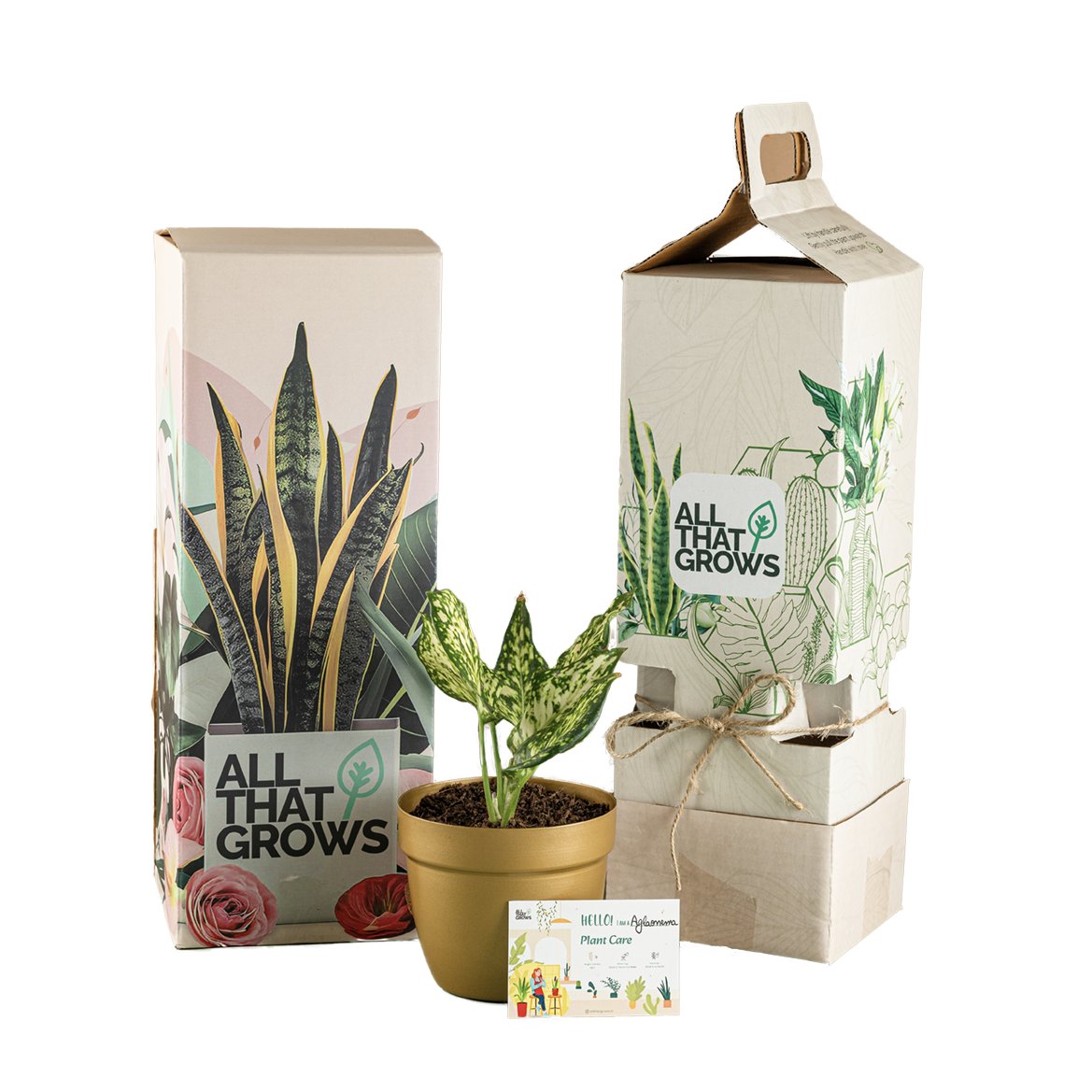 Shop Live Plants