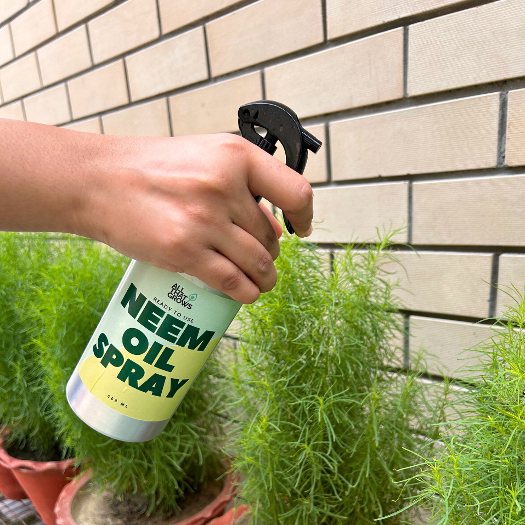 Ready to Use Neem Oil Spray 500 Ml AllThatGrows ready-to-use-neem-oil-spray-500-ml-allthatgrows