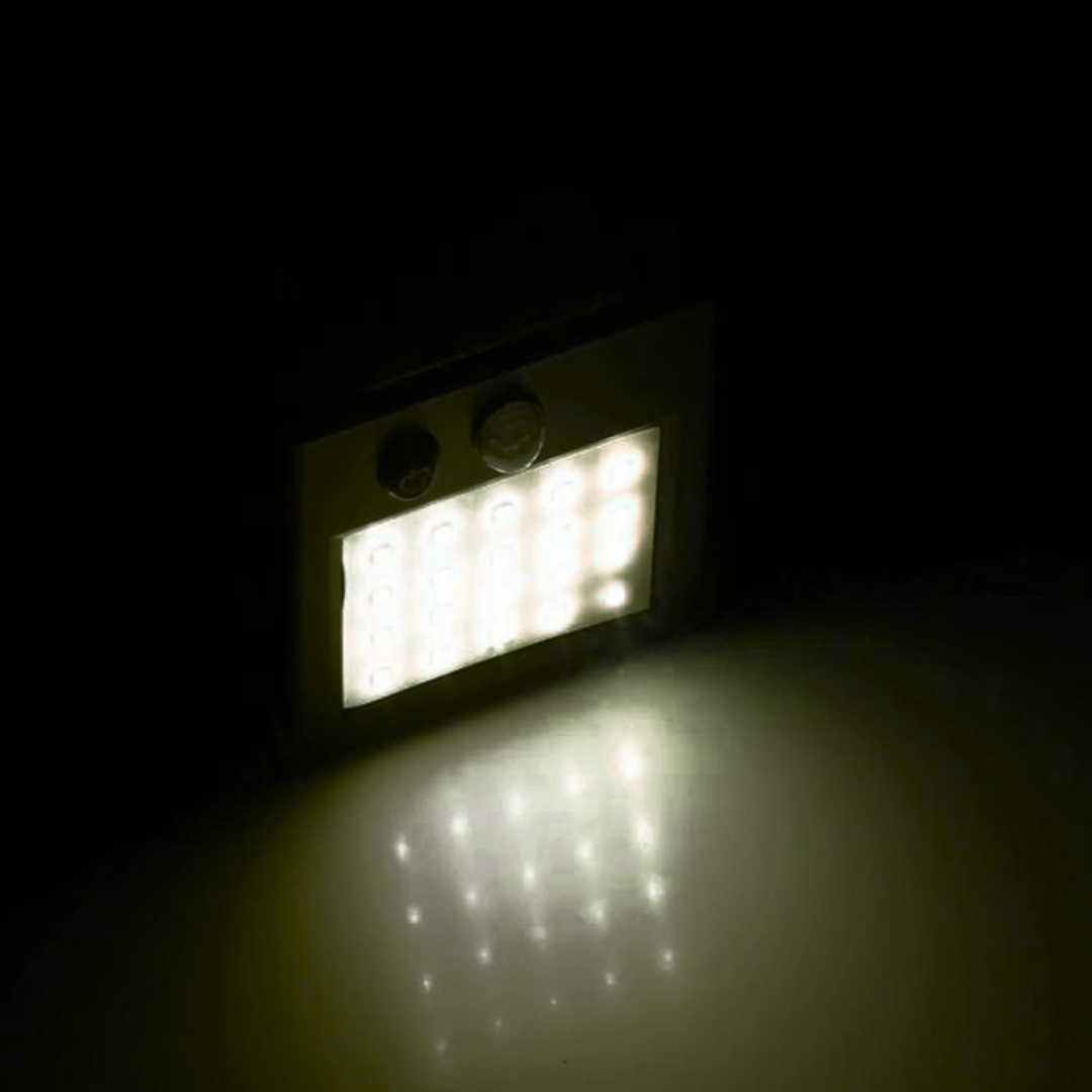 Lumiray 20 LED Solar Motion Sensor Wall Light