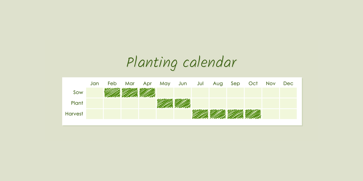 Sowing calendar