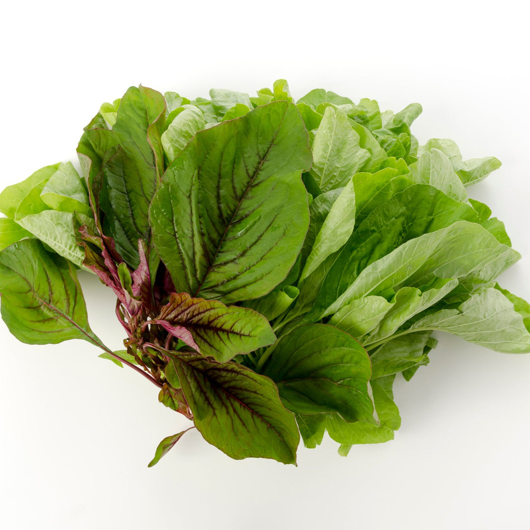 Amaranthus Katwa Jhar Seeds