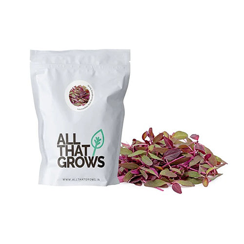 Amaranthus Red Microgreen Seeds-2