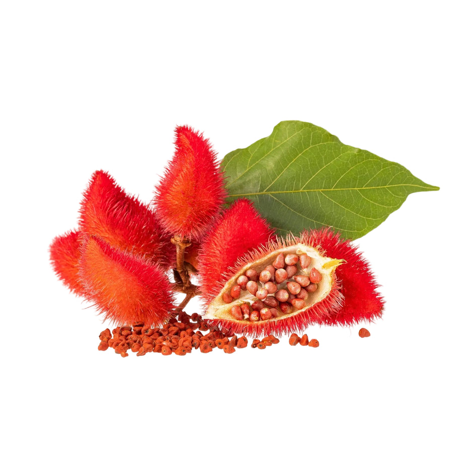 Annatto Seeds-1