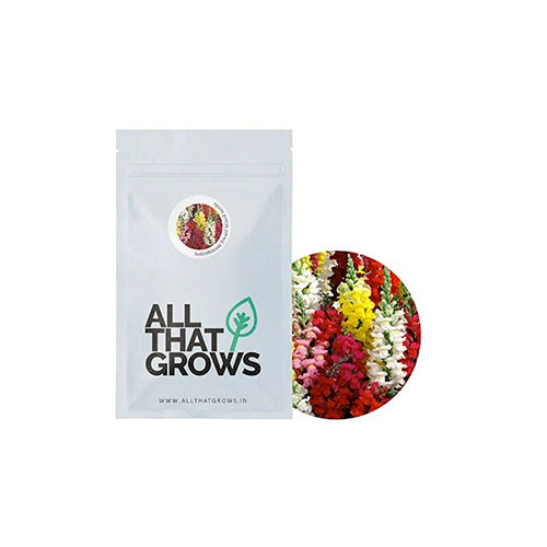 Antirrhinum Dwarf Mixed Seeds-2