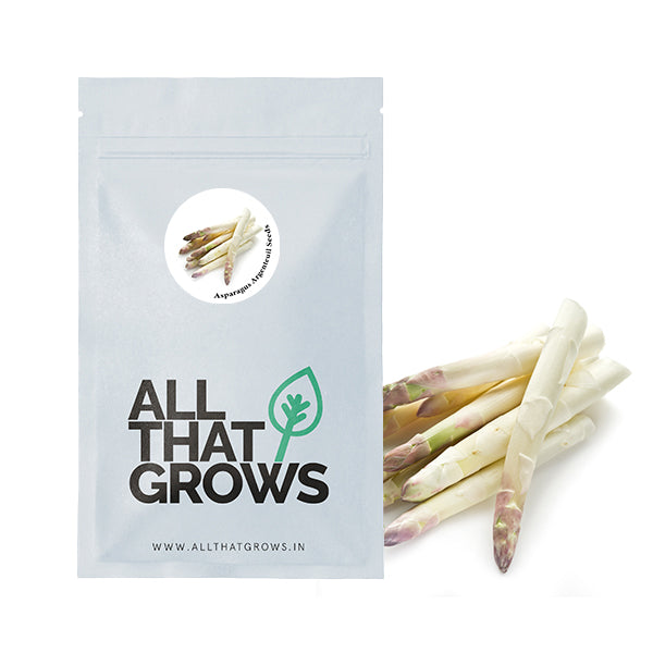 Asparagus Argenteuil Seeds