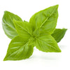 Basil Green Seeds