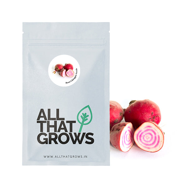 Beet Chioggia Seeds