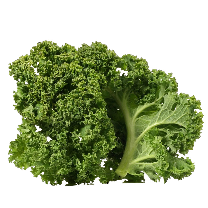 Borecole Kale Seeds